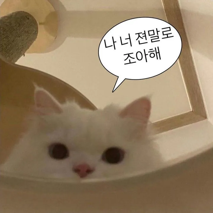 [할머니가 물려주셨니?] 빈티지  감성이쟈나 청키 레트로 플랫폼 슈즈 상세 이미지 1