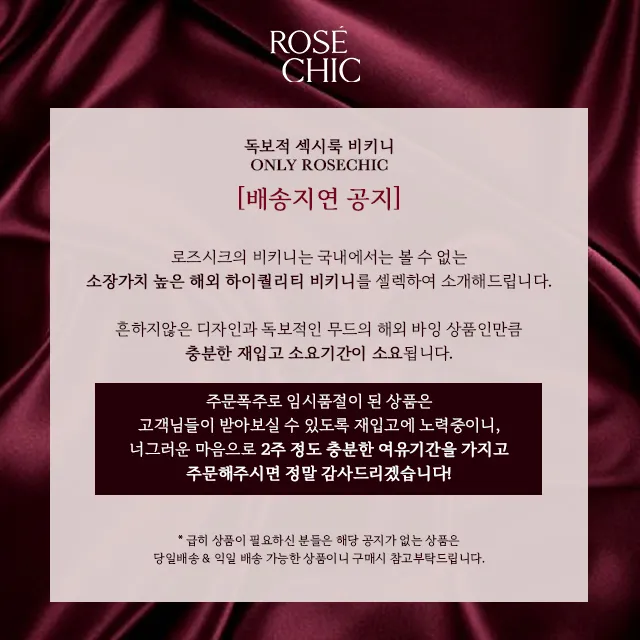 당일발송 [투웨이] 빅시 브이골드 비키니 2color 상세 이미지 2